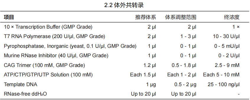 Murine RNase Inhibitor (40 U/μ