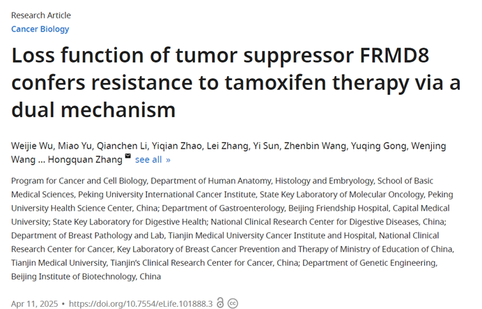北大团队揭示FRMD8双重机制调控乳腺癌他莫昔芬耐药，利用TissueGnostics技术精准解析肿瘤微环境
