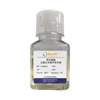 原代细胞无蛋白非程序冻存液