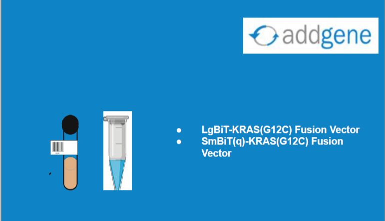 战略合作！Addgene × Promega 重磅推出300+创新性质粒