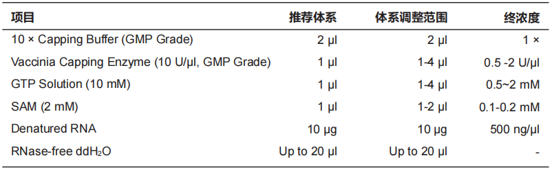 Vaccinia Capping Enzyme (10 U/