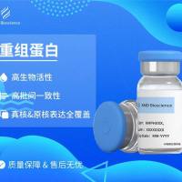 血管生成素样蛋白4, Angiopoietin-related protein 4, 425O18