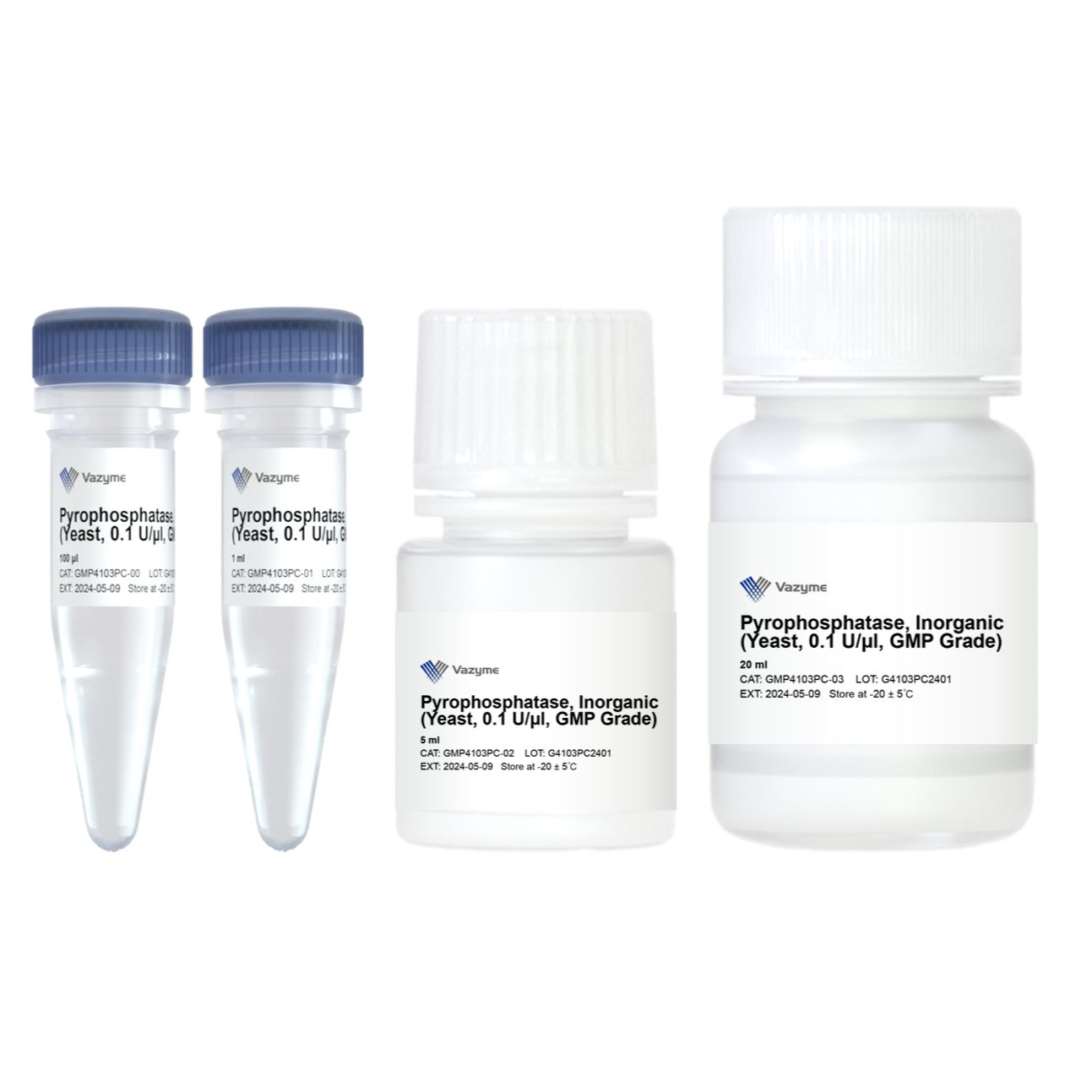 Pyrophosphatase, Inorganic (yeast, 0.1 U/μl, GMP Grade)（GMP4103）