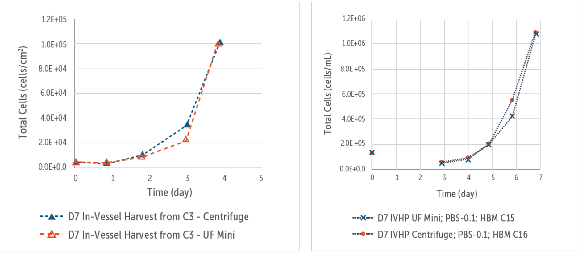 解离后细胞在二维基质和3D垂直轮生物反应器上的生长