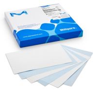 Immobilon®-PSQ PVDF转印膜预切片膜，0.2um孔径，15x15cm sheet, 10/pk