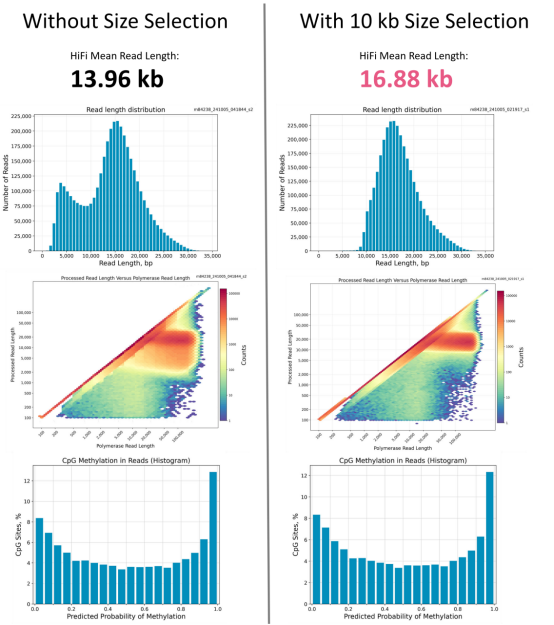 三代测序翻车率飙升？试试文库回收让「垃圾数据」清零！