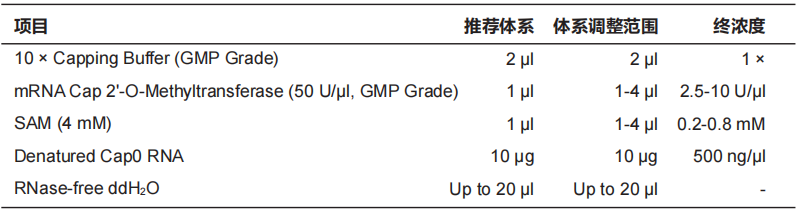 mRNA Cap 2'-O-Methyltransferas