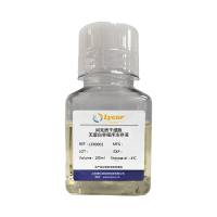 间充质干细胞无蛋白非程序冻存液