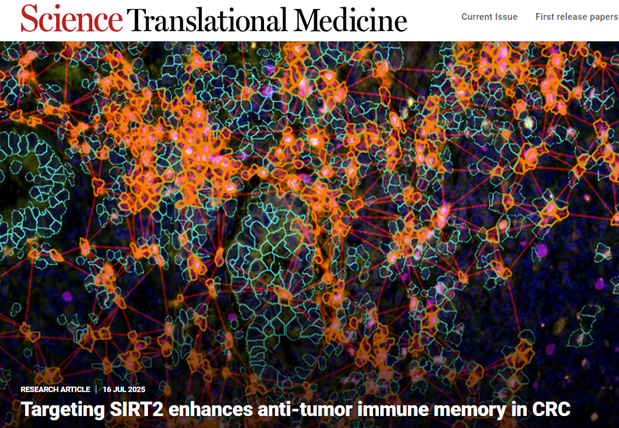 中大六院杨孜欢教授团队结直肠癌的新靶标发现Tissue Cytometry技术揭示 SIRT2 免疫治疗应用潜力
