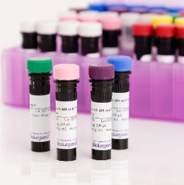 Purified anti-mouse CD64 (FcγRI)