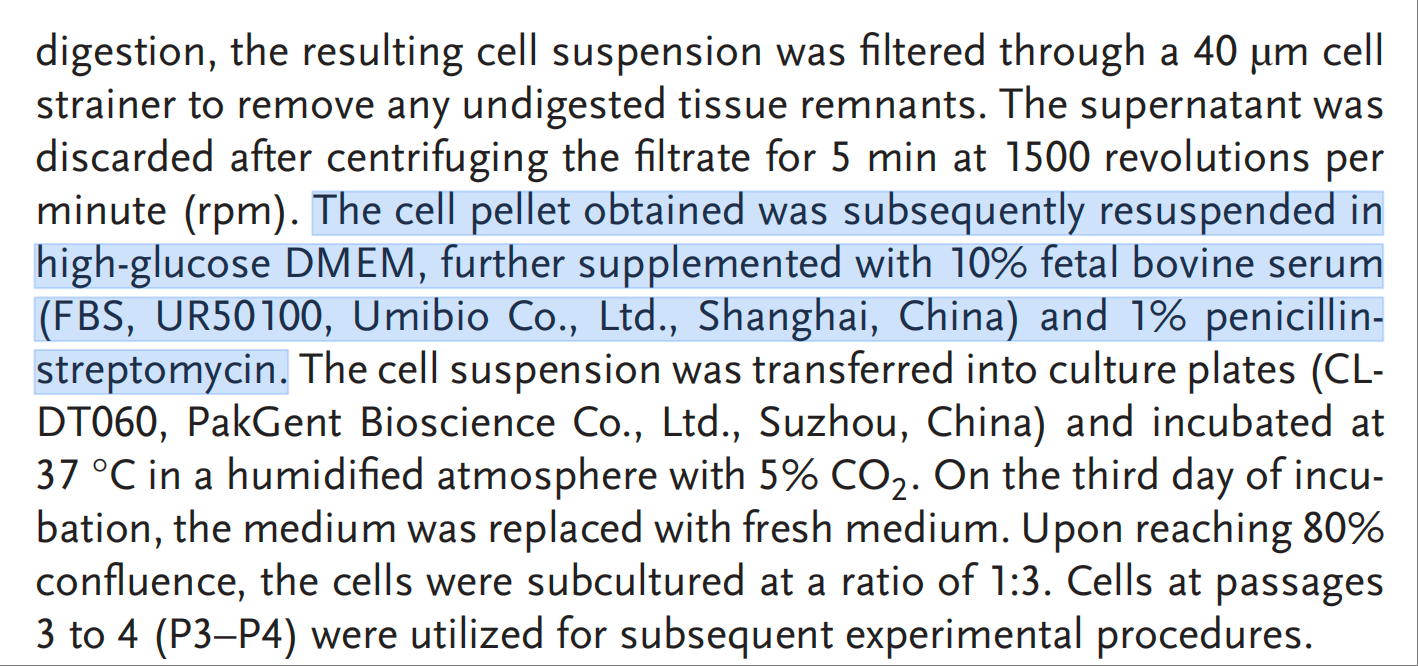 IF=10.0 | Umibio特级胎牛血清（UR50100）助力客户椎间盘退变治疗研究！