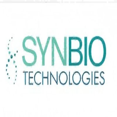 DNA复制与修复通路 SHPF231001  Base excision repair