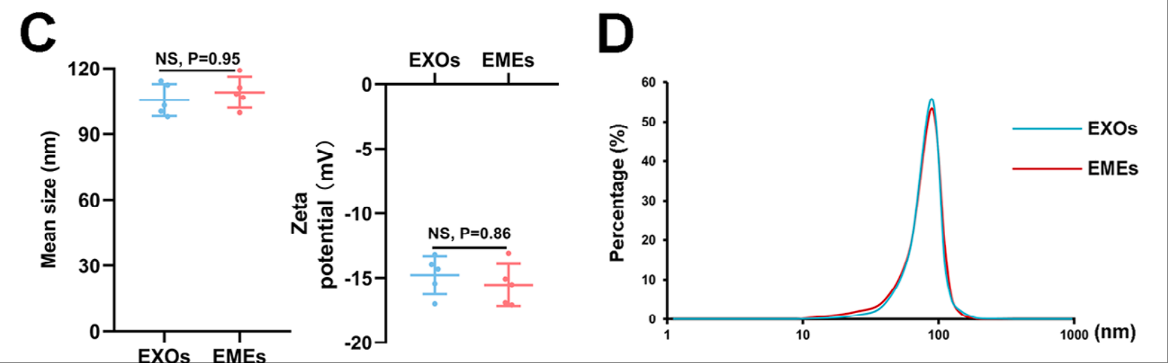 IF=10.0 | Umibio特级胎牛血清（UR50100）助力客户椎间盘退变治疗研究！