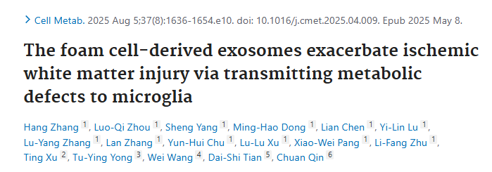 IF：30+，泡沫细胞外泌体携miR-101-3p远程攻击，Nrf2-Slc2a1轴破防致代谢崩盘，跨器官损白质，这思路超硬核！