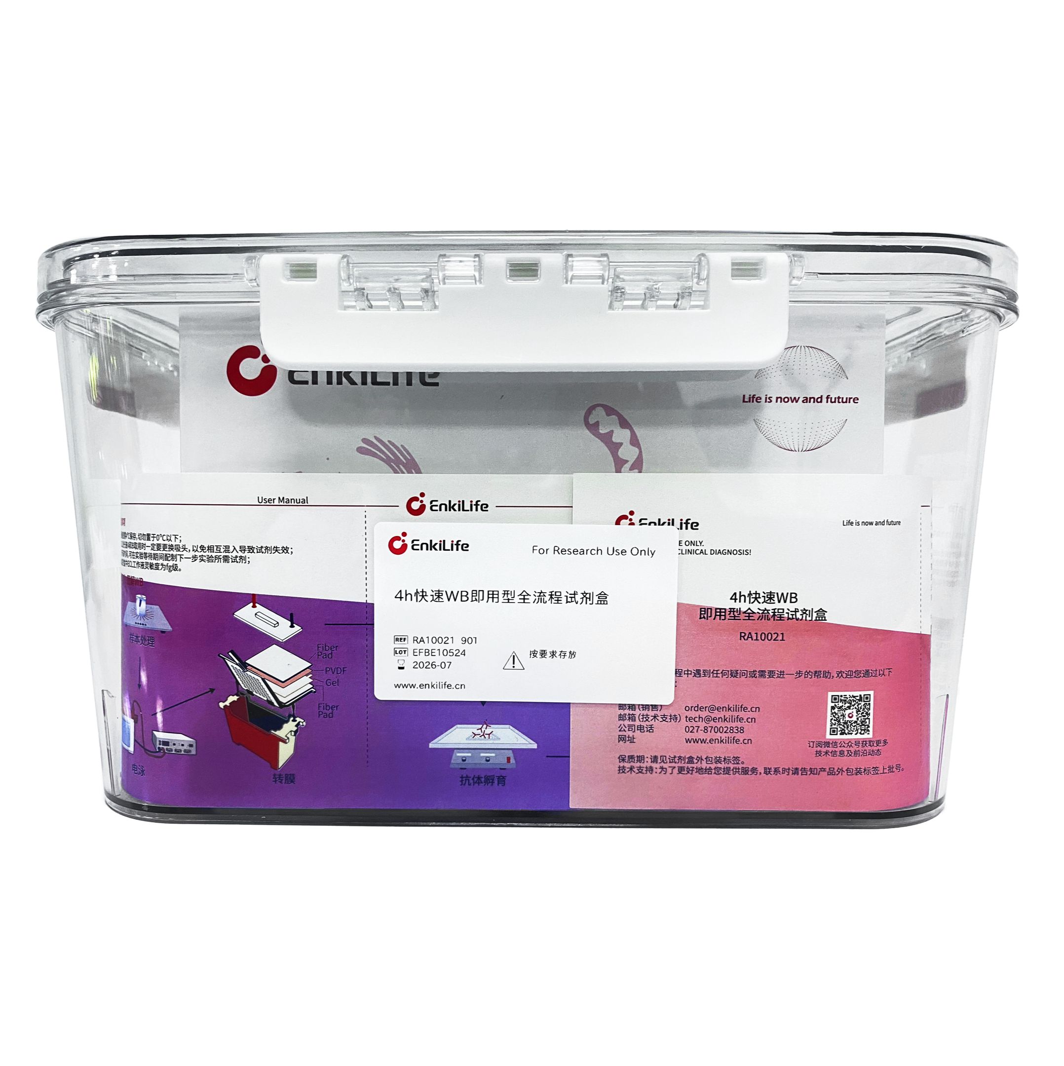 4h快速WB即用型全流程试剂盒(WB检测试剂盒)(Western Blot Kit)