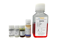 Balb/c小鼠骨髓间充质干细胞培养试剂盒