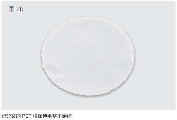 细胞培养小室 / 插入式细胞培养皿 / 插入皿