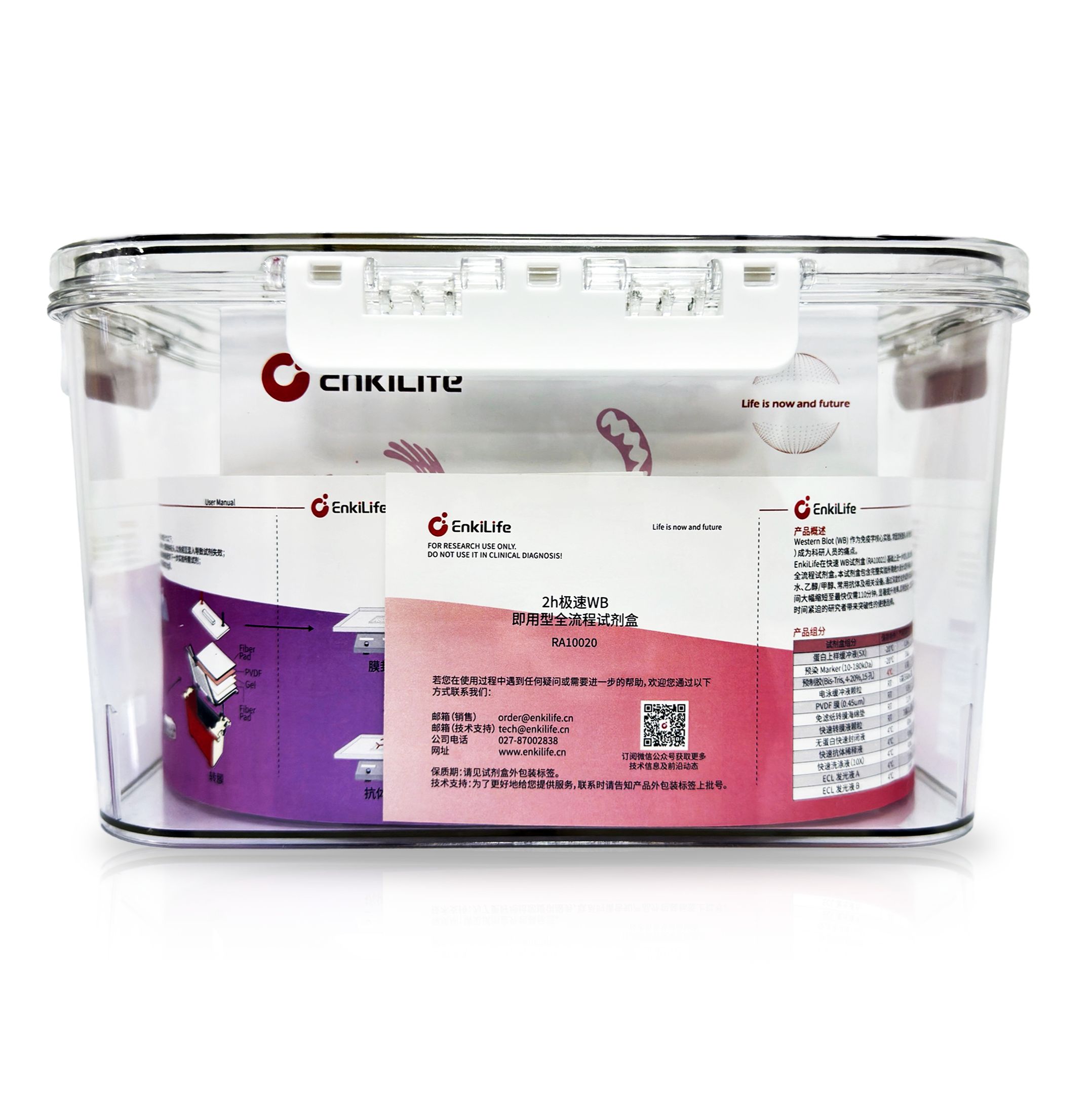 2h极速WB即用型全流程试剂盒（WB检测试剂盒）(Western Blot Kit)