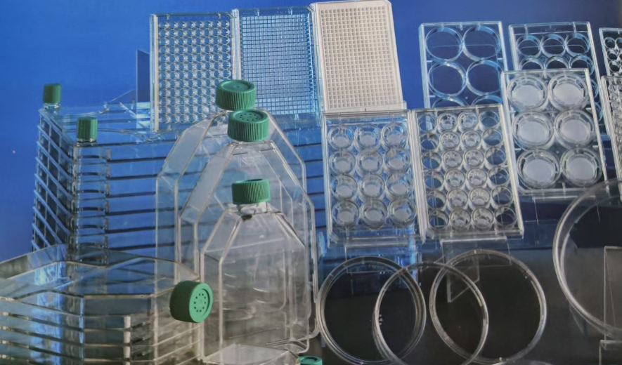 耐思耗材选购指南：细胞培养/分子实验TOP清单