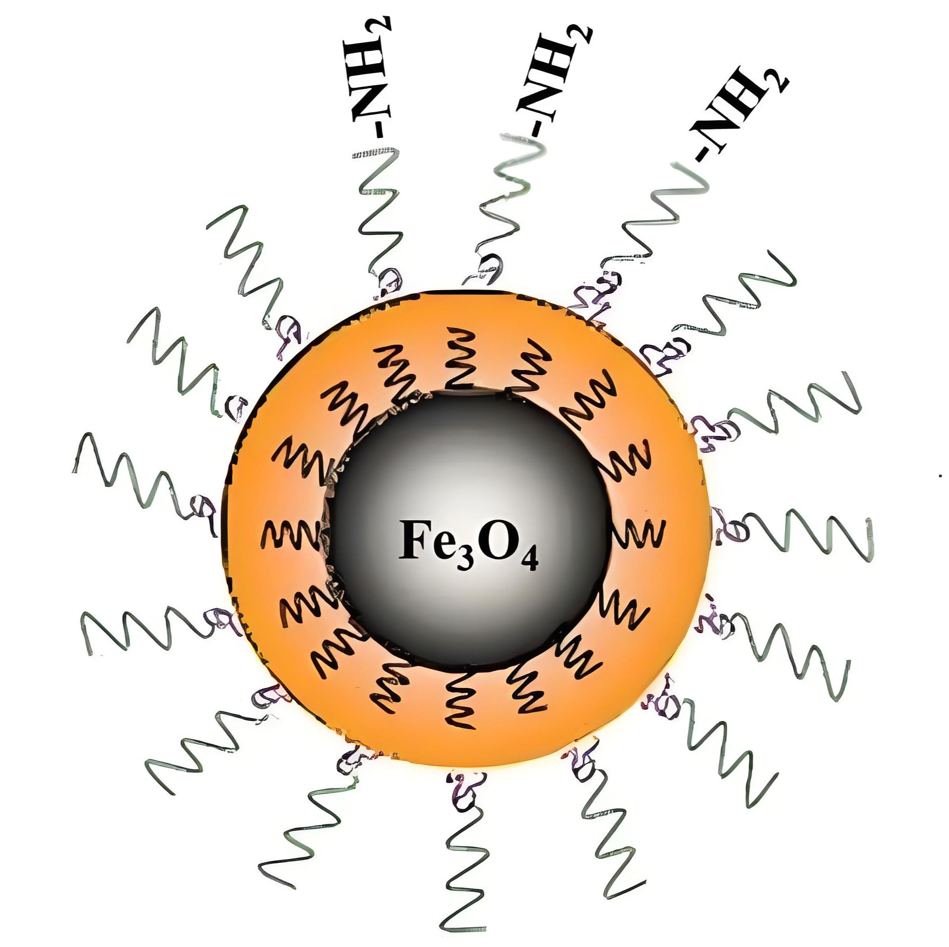 负载二氢卟吩e6和染料香豆素6的四氧化三铁磁性纳米颗粒 Ce6/C6@Fe3O4