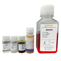 细胞周期检测试剂盒