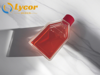 冻存大鼠外周血单核细胞(PBMC)(单供体)