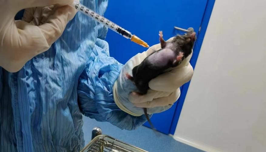 肿瘤相关模型——肺癌恶性胸腔积液（MPE）