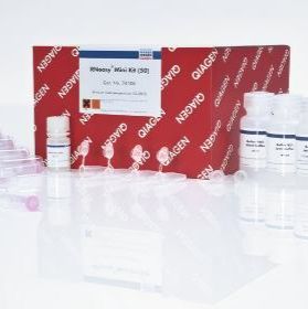 Qiagen RNA小量提取试剂盒 74104（50）