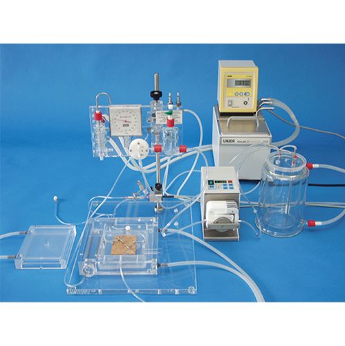 动物肝肾灌流系统