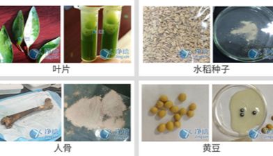 全自动组织研磨仪在易挥发样品前处理中的应用