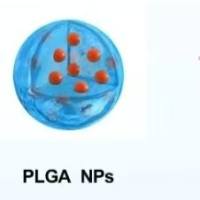 聚乳酸-羟基乙酸共聚物纳米颗粒包载蛇床子素 PLGA NPs@Ost