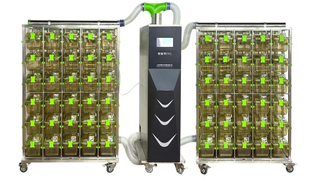 技术解析——IVC饲养笼是如何保护您的动物健康的