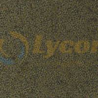 小鼠巨噬细胞;Ana-1(种属鉴定)