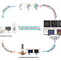 全景多标记组织微环境染色分析技术服务