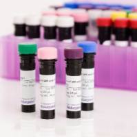 KIRAVIA Blue 520™ anti-human CD141