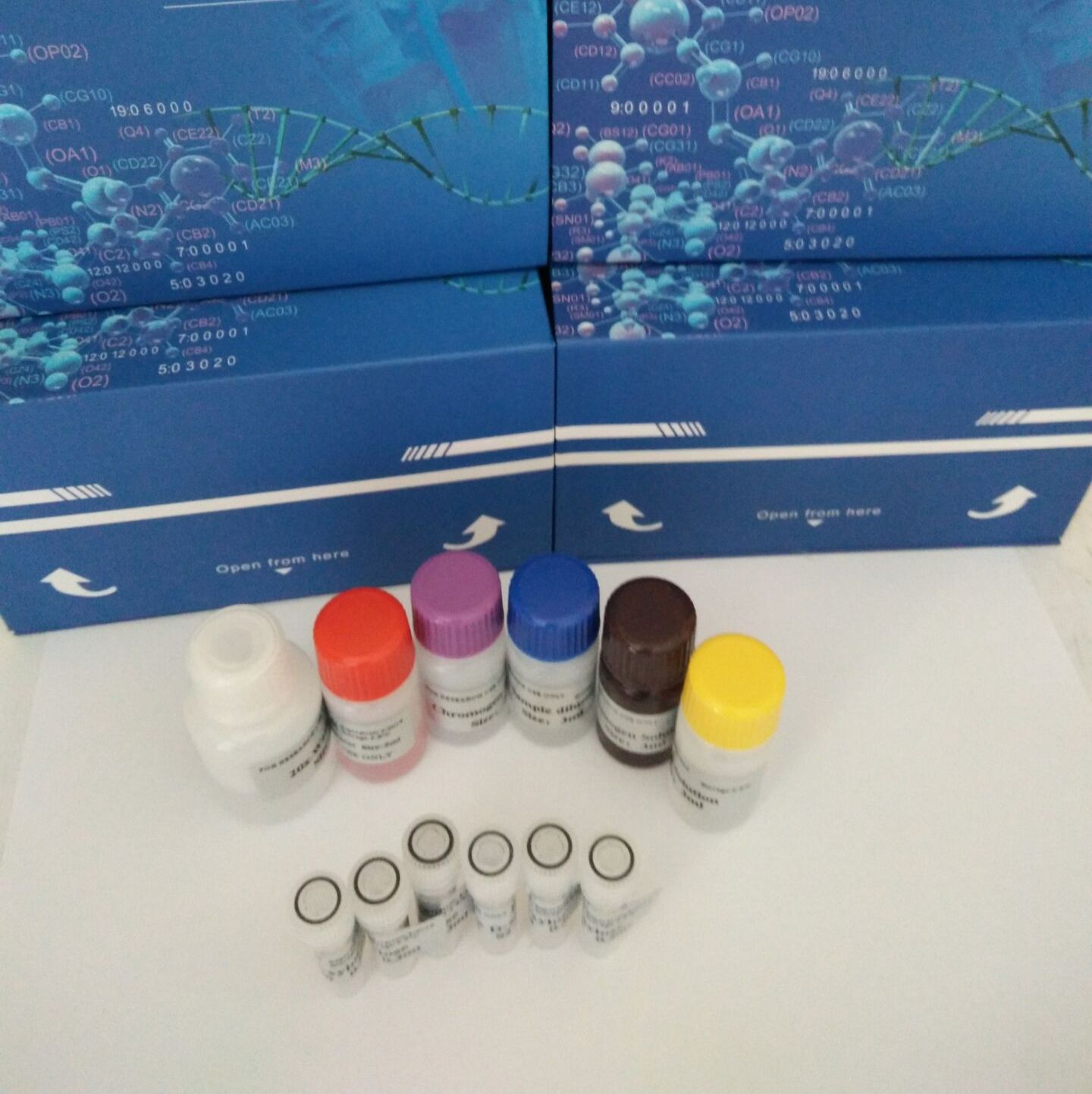 人(Human)烟酰胺腺嘌呤二核苷酸(NAD) ELISA检测试剂盒