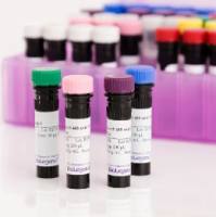 Alexa Fluor® 647 anti-mouse IFN-γ