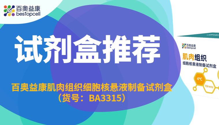 试剂盒推荐|百奥益康肌肉组织细胞核悬液制备试剂盒（货号：BA3315）