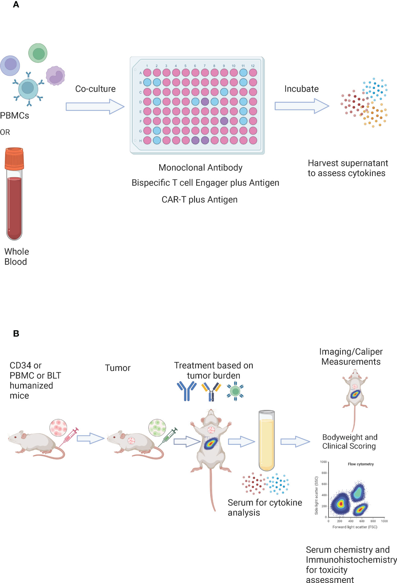 CAR-T治疗暗礁：细胞因子暴CRS的发病机制与精准监测全攻略