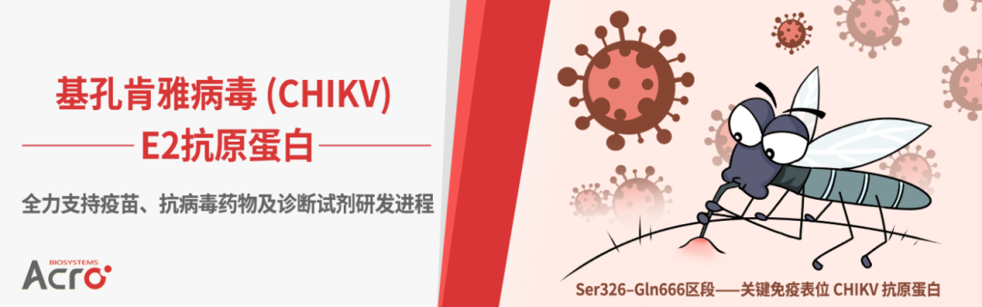 助力阻击基孔肯雅热疫情，ACROBiosystems CHIKV抗原蛋白上新！！！
