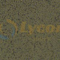 小鼠肥大细胞瘤细胞;P815(种属鉴定)