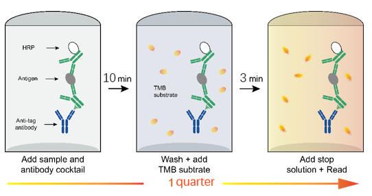 传统ELISA太慢？小鼠Ig ELISA三件套：分型15min/定量1h/宽线性45min