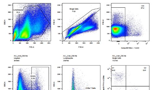 组织千百样 胶原酶相伴