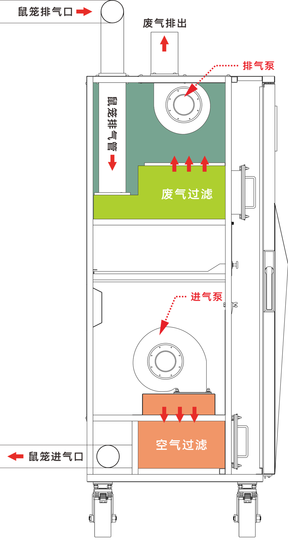 技术解析——IVC饲养笼是如何保护您的动物健康的