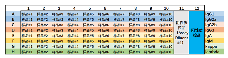 传统ELISA太慢？小鼠Ig ELISA三件套：分型15min/定量1h/宽线性45min