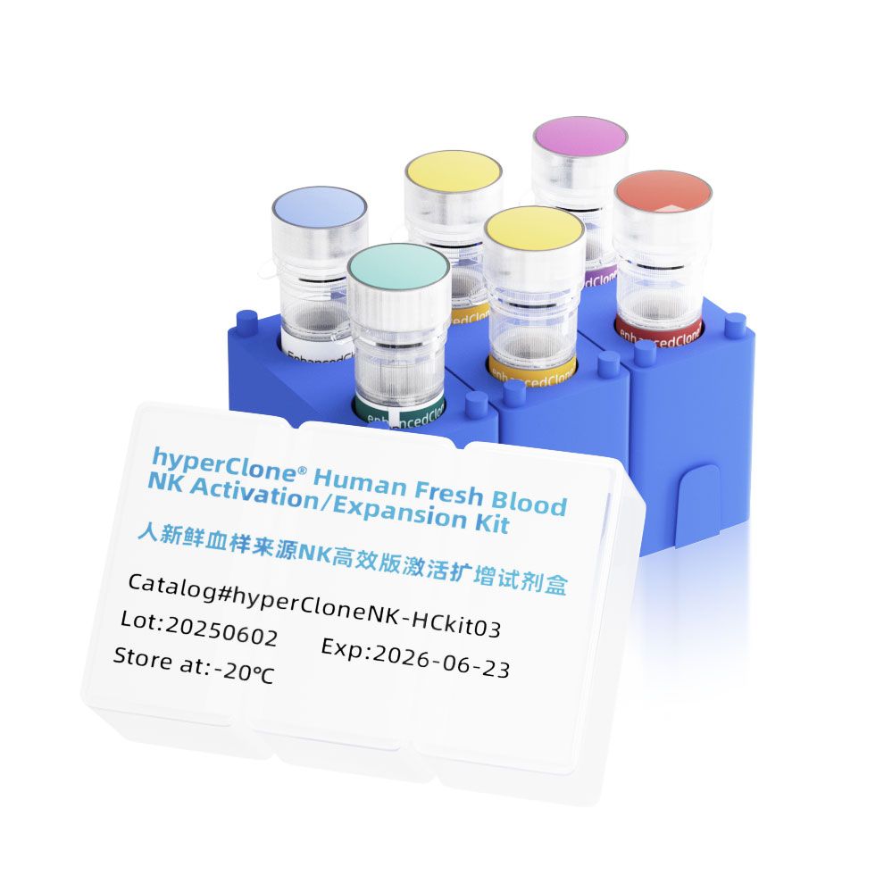 Kit03千亿级自然杀伤细胞大规模培养解决方案