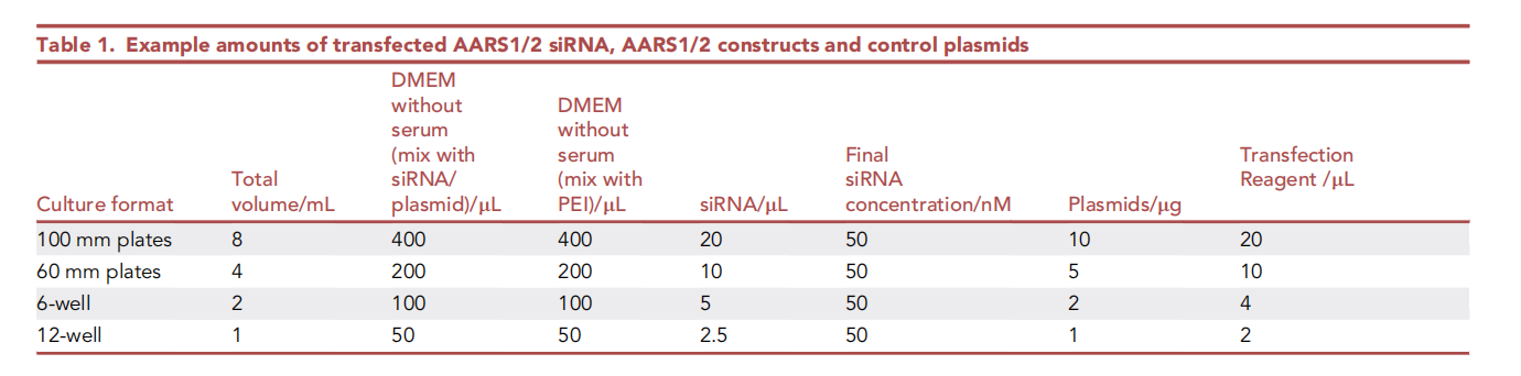 Cell Star Protocol 重磅解析： 无标签定量赖氨酸乳酸化蛋白组分析方案