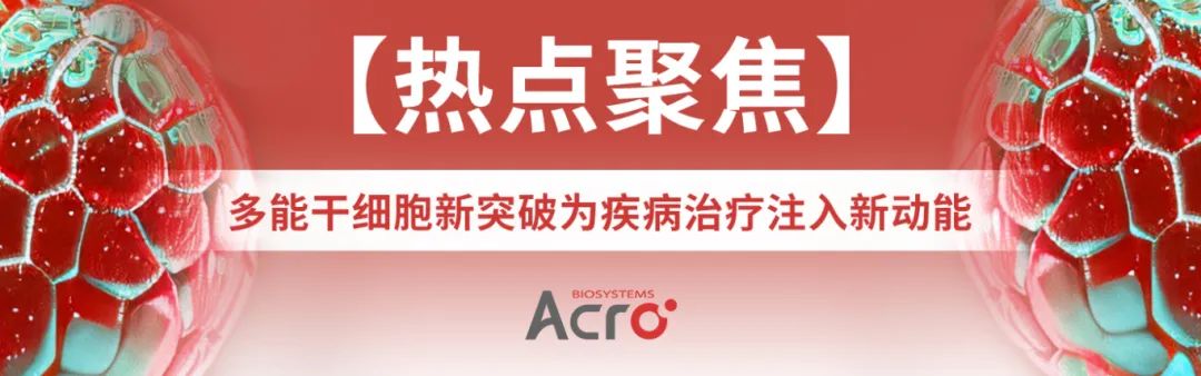 【热点聚焦】—多能干细胞新突破为疾病治疗注入新动能