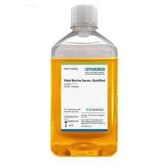 胎牛血清（免费试用）