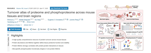 6389067583834818532584905